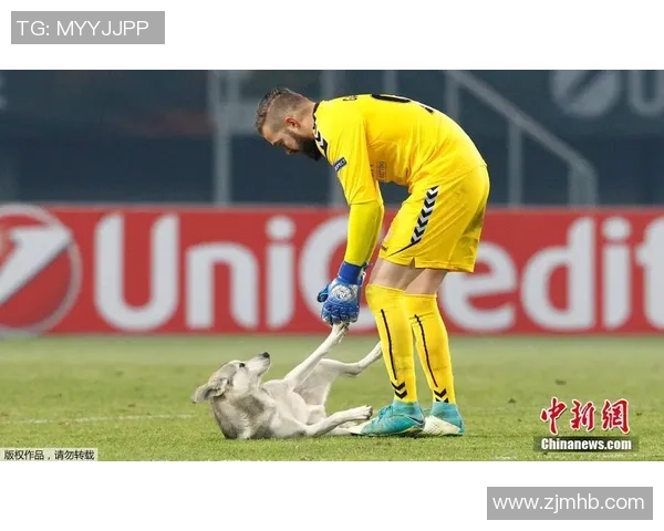 马模与华达激战正酣赛场精彩瞬间回顾与分析