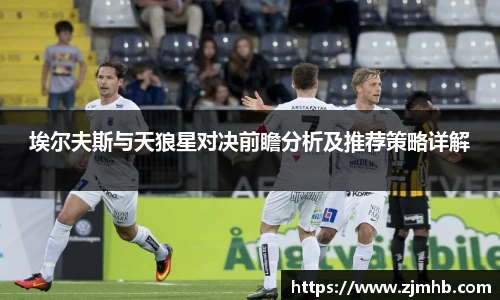 埃尔夫斯与天狼星对决前瞻分析及推荐策略详解