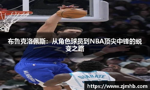 布鲁克洛佩斯：从角色球员到NBA顶尖中锋的蜕变之路